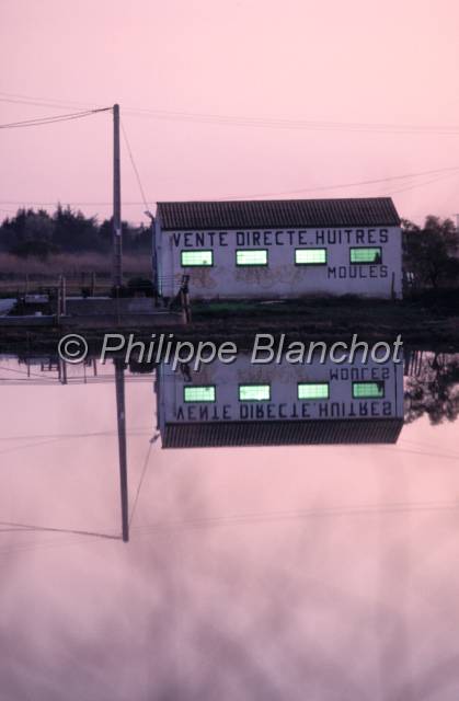 huitre oleron 06.JPG - Cabane ostréicoleMarennes Oléron, France